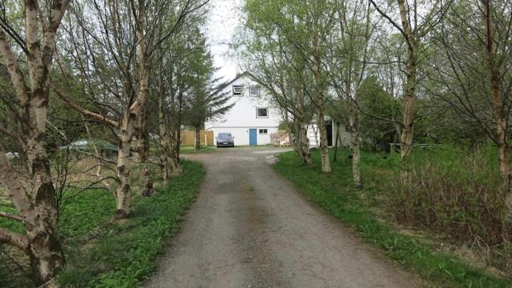 Airbnb And Booking At Postvegen 95 Vigra Bagian luar foto